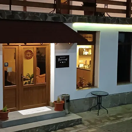 Pensiunea Bulevard Guest house Ramnicu Valcea