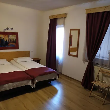 Pensiunea Bulevard 3* Ramnicu Valcea